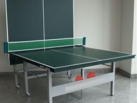 Mesa de Ping-Pong